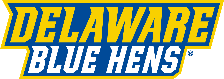 Delaware Blue Hens 2018-Pres Wordmark Logo iron on transfers for clothing